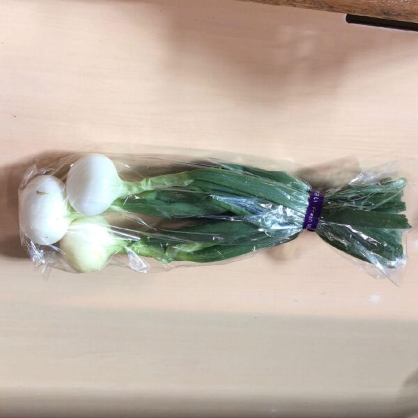 葉付たまねぎ
