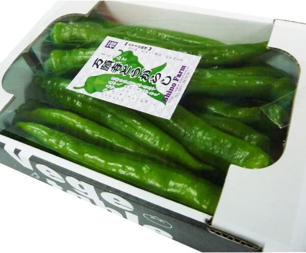 京都産 万願寺唐辛子 1kg