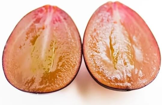 岩手県花巻産 伊豆錦 (ぶどう) 約350g 種なしぶどう - 画像 (3)