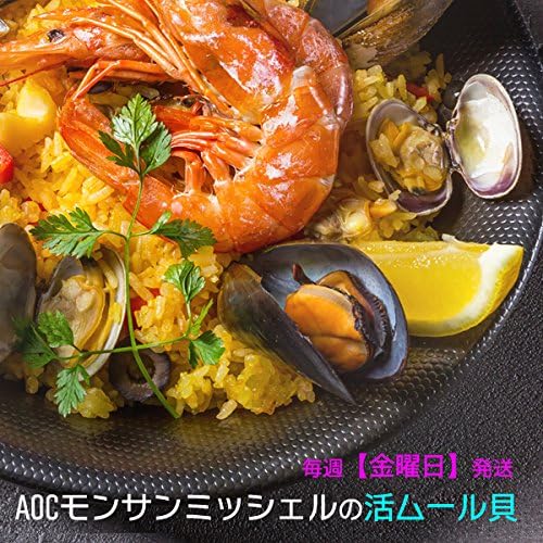 フランス モンサンミッシェル産 活ムール貝 1.4Kg - 画像 (2)