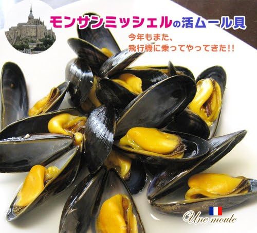 フランス モンサンミッシェル産 活ムール貝 1.4Kg - 画像 (3)