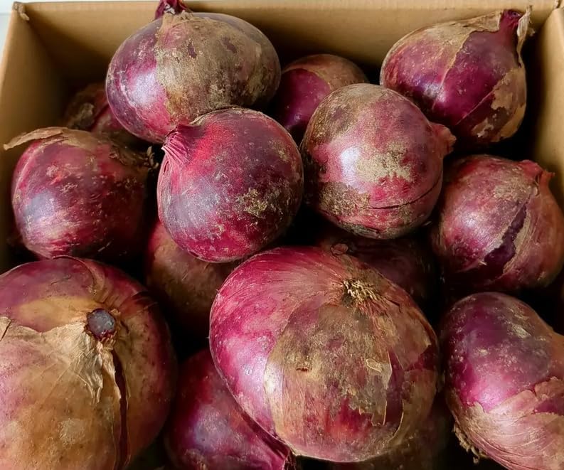 青森県産 赤タマネギ 約1kg - 画像 (2)