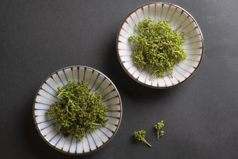 きとら農園 ぶどう山椒ホール、和歌山県産、10g - 画像 (2)