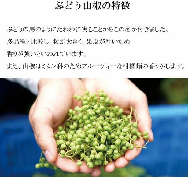 きとら農園 ぶどう山椒ホール、和歌山県産、10g - 画像 (3)