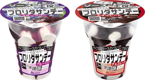 赤城乳業 フロリダサンデー ブルーベリー・チョコレート210ml×各6個ずつ計12カップ