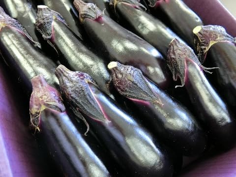 徳島県産 阿波千両なす 3本セット - 画像 (3)