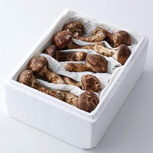 松茸 訳あり 大きさおまかせ 約500g 産地厳選 アメリカ トルコ カナダ 中国 まつたけ マツタケ