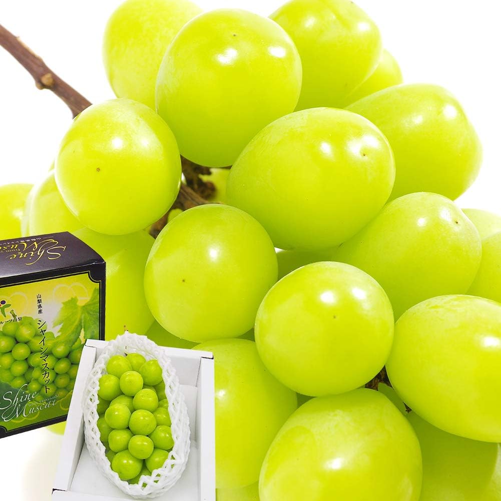 ぶどう シャインマスカット 約600g 1房 JAフルーツ山梨 山梨県産 露地栽培