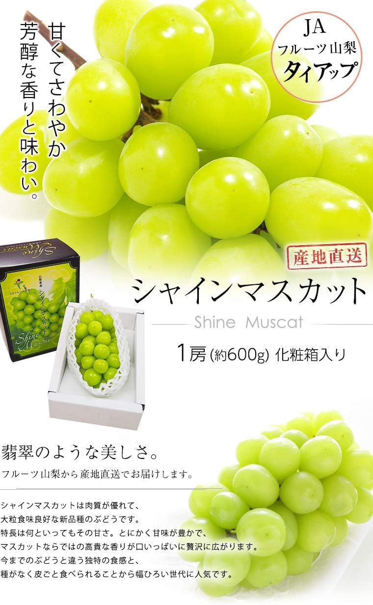 ぶどう シャインマスカット 約600g 1房 JAフルーツ山梨 山梨県産 露地栽培 - 画像 (2)