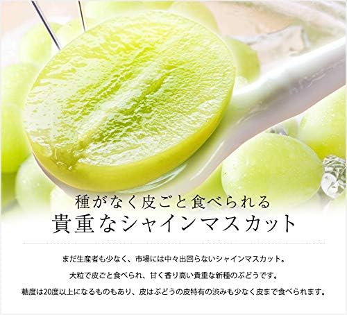 ぶどう シャインマスカット 約600g 1房 JAフルーツ山梨 山梨県産 露地栽培 - 画像 (3)