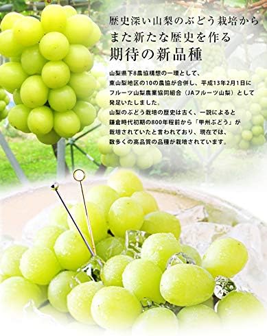 ぶどう シャインマスカット 約600g 1房 JAフルーツ山梨 山梨県産 露地栽培 - 画像 (4)