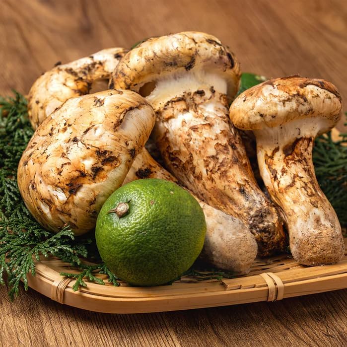 カナダ産 マツタケ 松茸 5級品 約1kg (折れ・割れ有り) フレッシュマツタケ 生松茸 訳あり開き・規格・大きさおまかせ - 画像 (5)