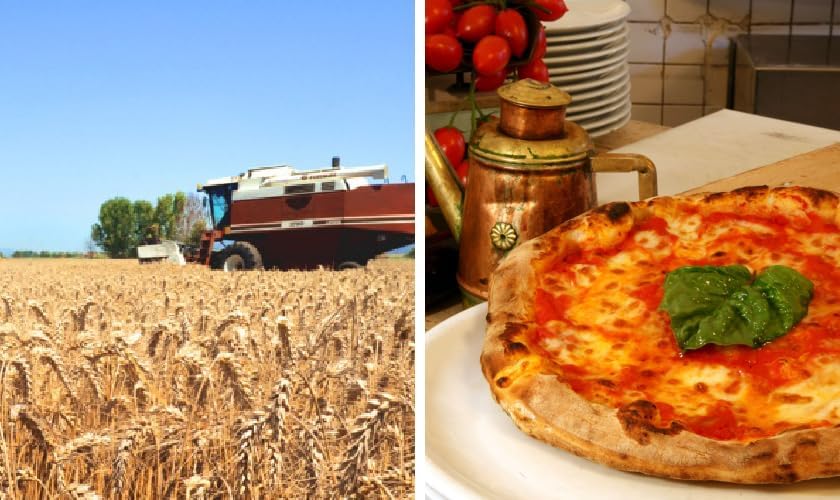 カプート ヌーヴォラ TIPO 0 小麦粉 25kg イタリア産 業務用 ピザ粉 パン用粉 - 画像 (4)